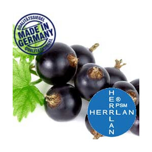 Herrlan Aroma Heidelbeere