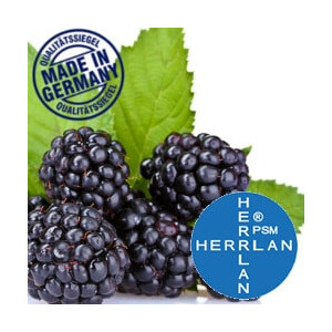 Herrlan Aroma Brombeer