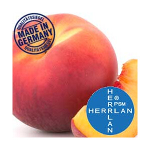 Herrlan Aroma Pfirsich-Maracuja