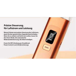 Geekvape Wenax Q Pod Set