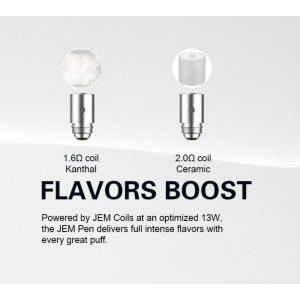 Innokin Jem Pen Verdampferköpfe