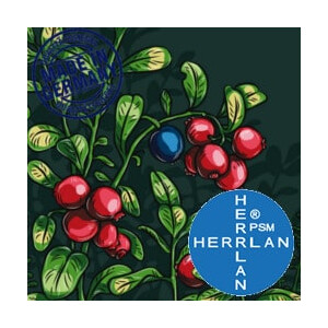 Herrlan Aroma Berry Bush