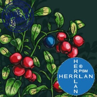 Herrlan Aroma Berry Bush