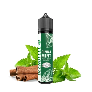 Blendfeel Cinna Mint 20ml Longfill Aroma
