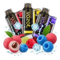 Vozol Vista Plug Startbild mit Früchten