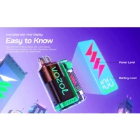 Vozol Vista Plug Display