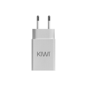 Kiwi Vapor USB-C Netz Adapter 10W