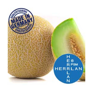 Herrlan Aroma Honigmelone