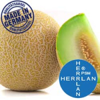 Herrlan Aroma Honigmelone
