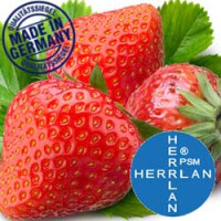 Herrlan Aroma Erdbeere