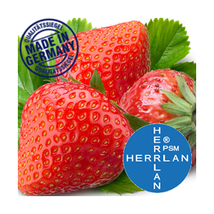 Herrlan Harmony Liquid - Walderdbeere