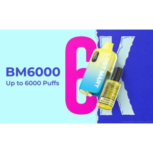 Lost Mary BM6000 Hybrid Vape