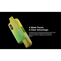 Lost Mary BM6000 Hybrid Vape