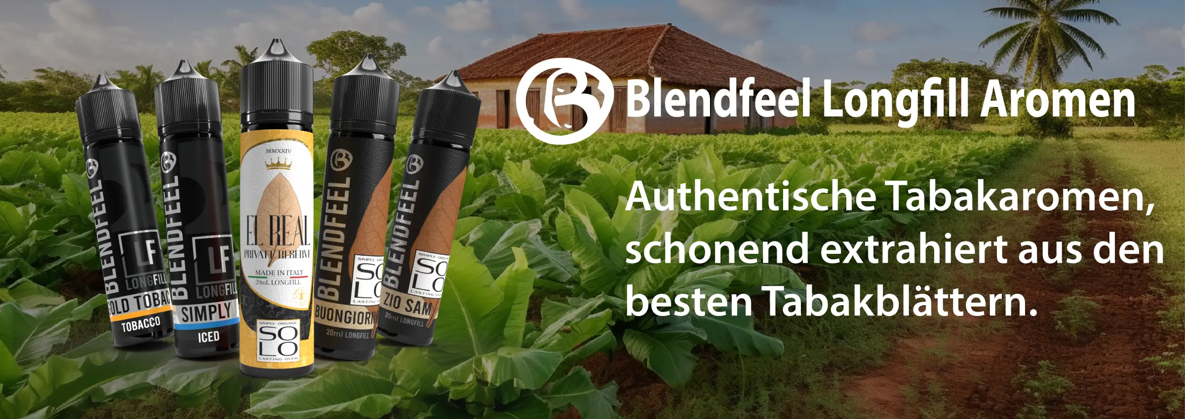 Blendfeel Startseiten Banner